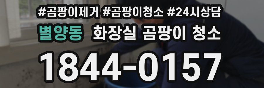 별양동 화장실 곰팡이 청소