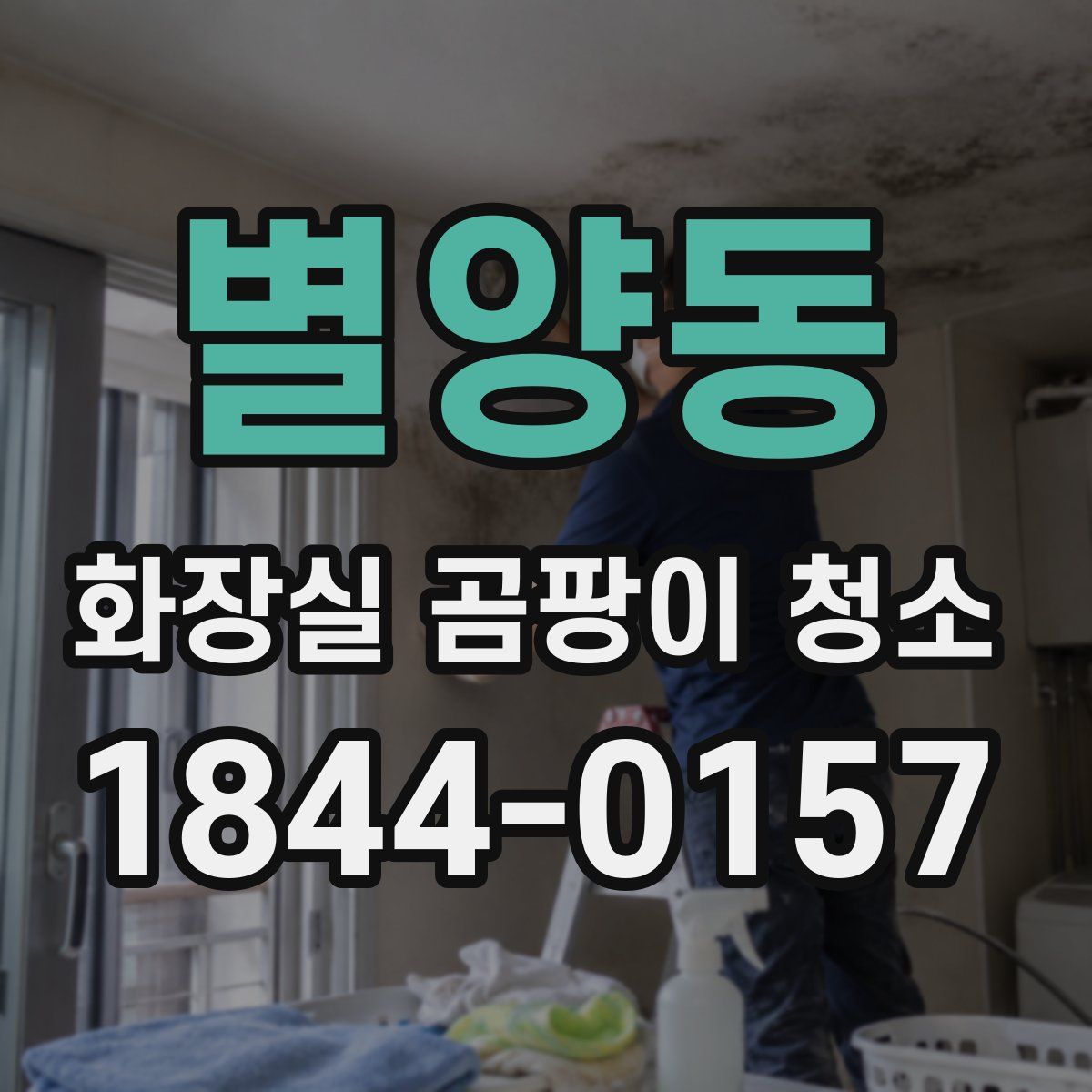 별양동 화장실 곰팡이 청소