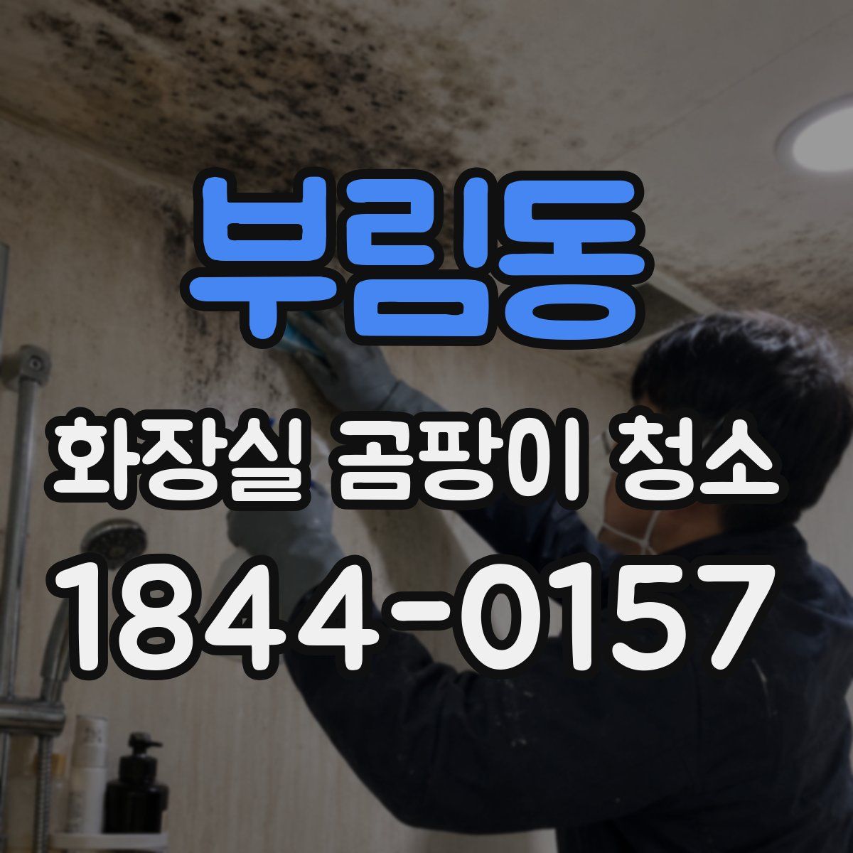 부림동 화장실 곰팡이 청소