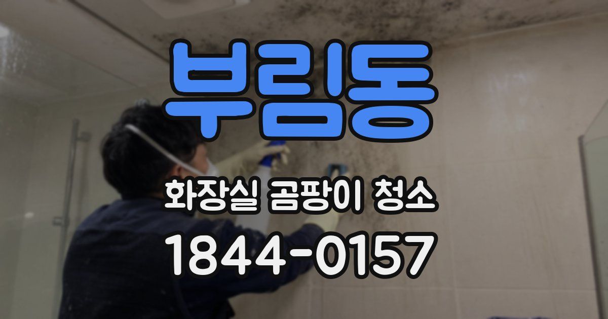 부림동 화장실 곰팡이 청소