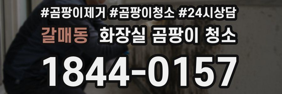 갈매동 화장실 곰팡이 청소