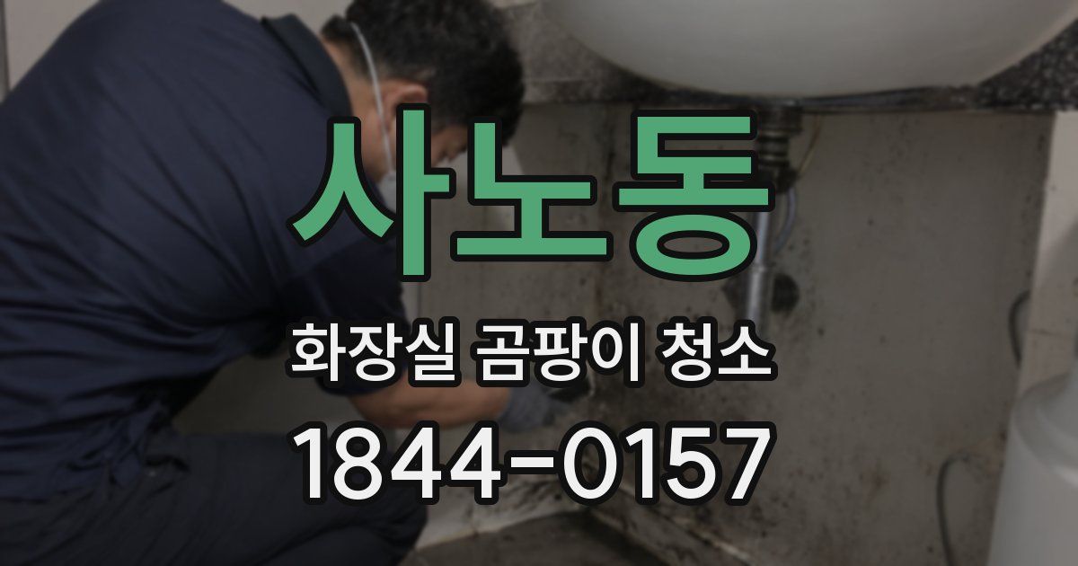 사노동 화장실 곰팡이 청소