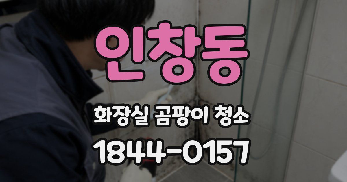 인창동 화장실 곰팡이 청소