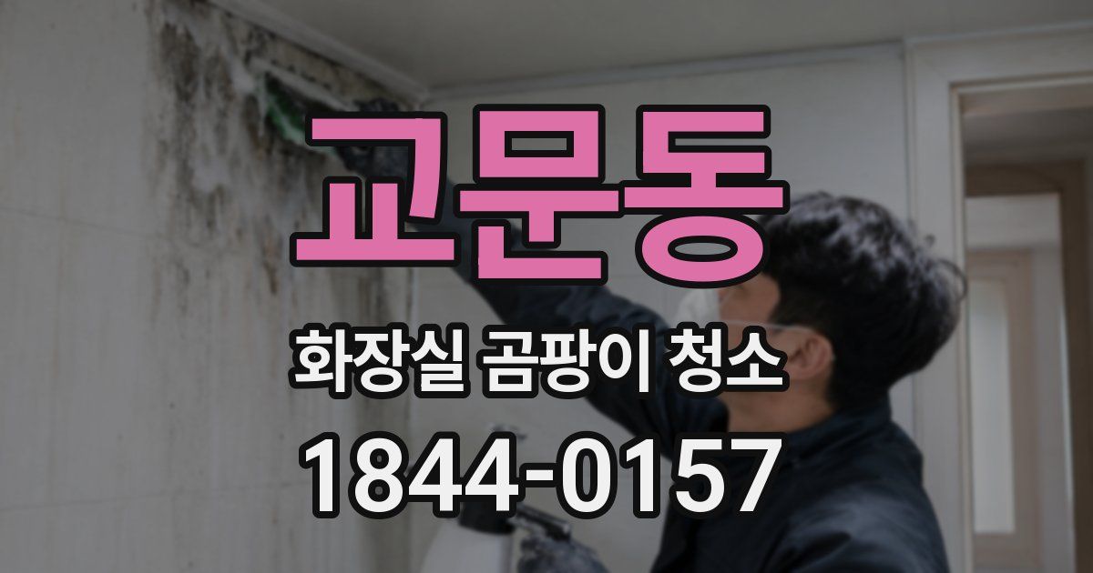 교문동 화장실 곰팡이 청소