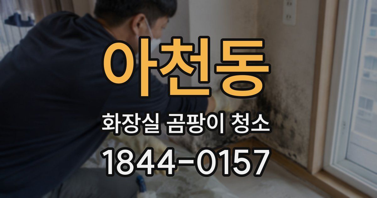 아천동 화장실 곰팡이 청소