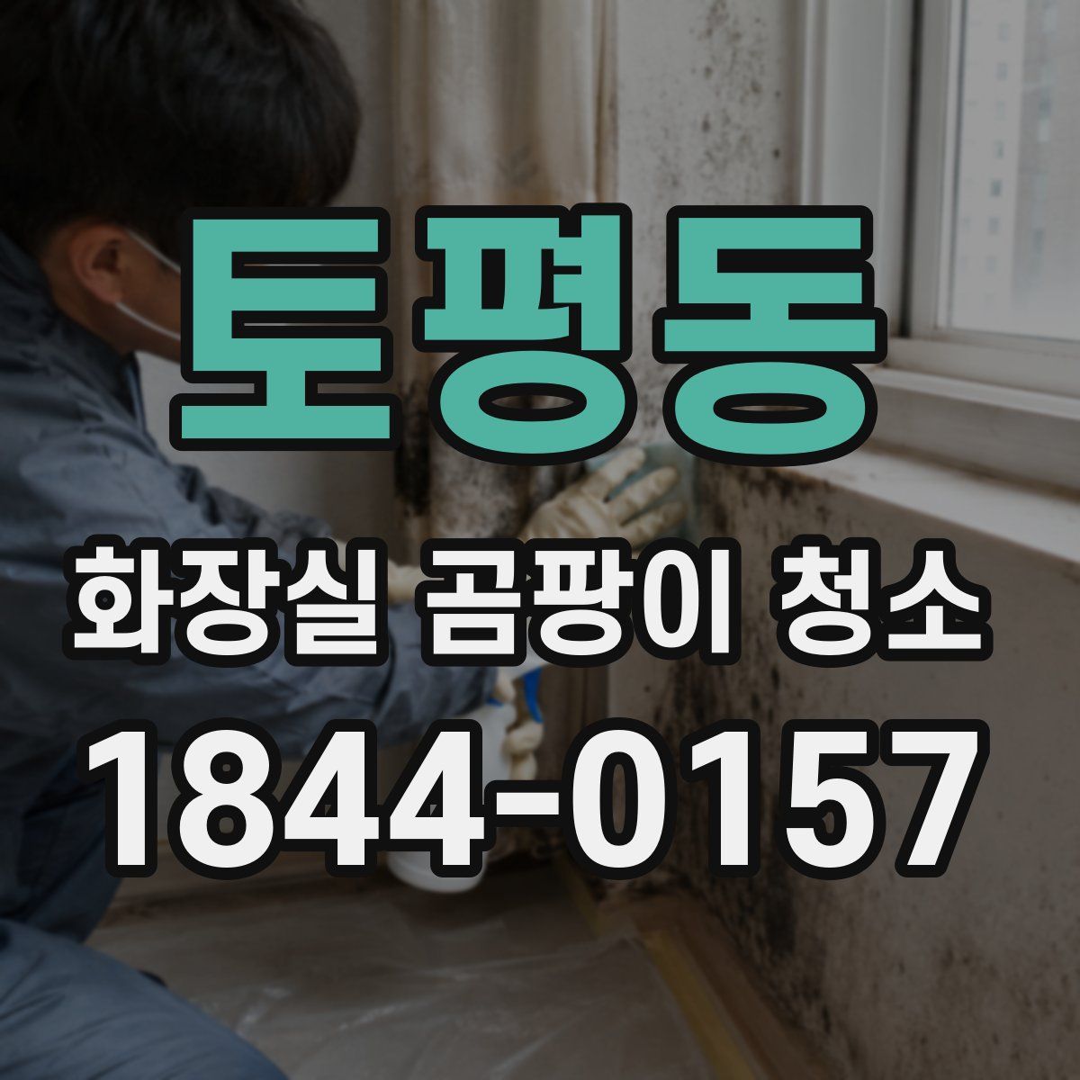 토평동 화장실 곰팡이 청소