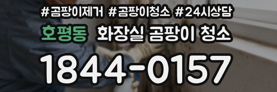 호평동 화장실 곰팡이 청소