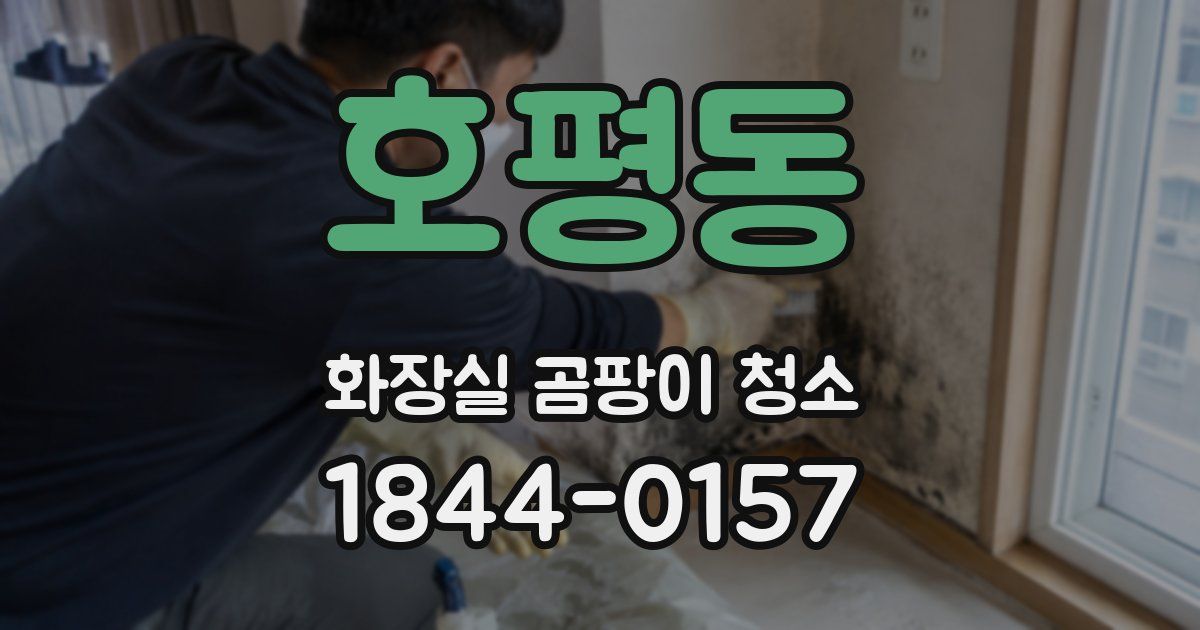 호평동 화장실 곰팡이 청소