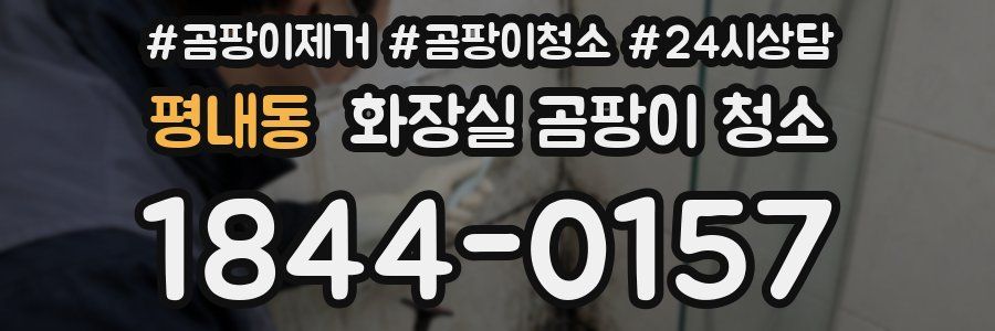 평내동 화장실 곰팡이 청소