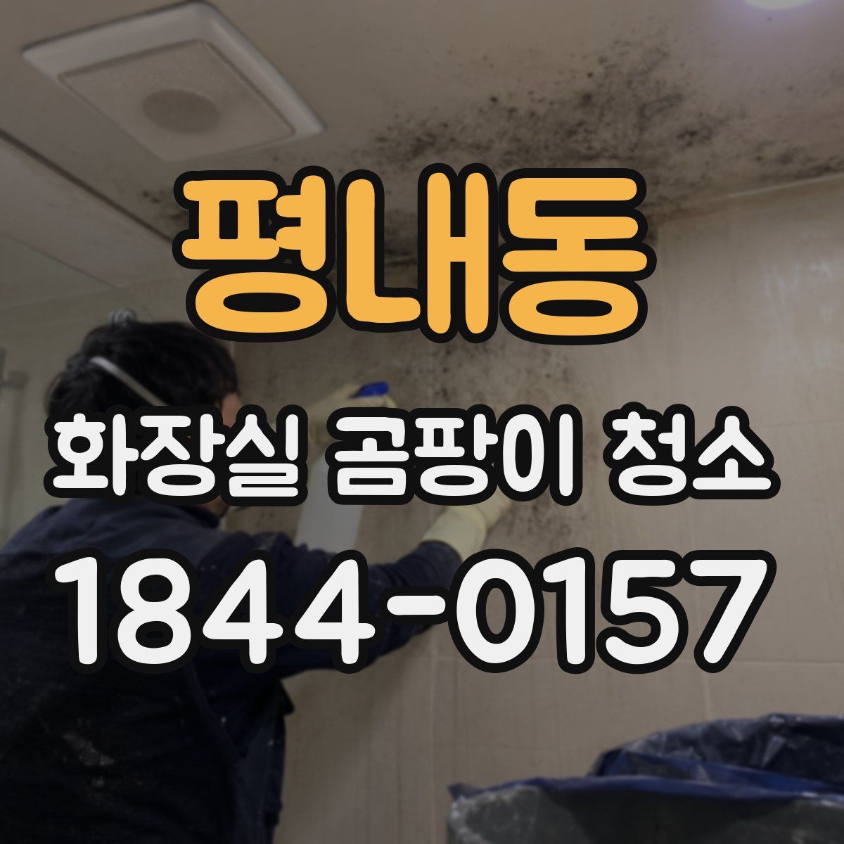 평내동 화장실 곰팡이 청소