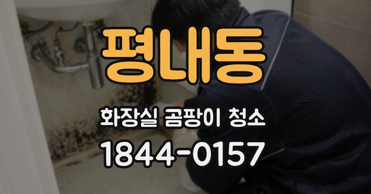 평내동 화장실 곰팡이 청소