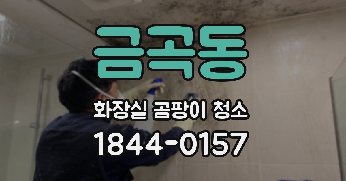 금곡동 화장실 곰팡이 청소