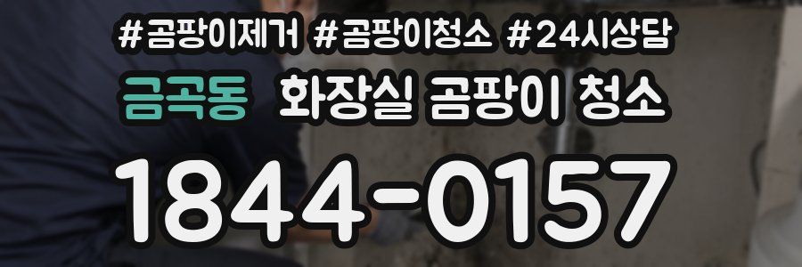 금곡동 화장실 곰팡이 청소