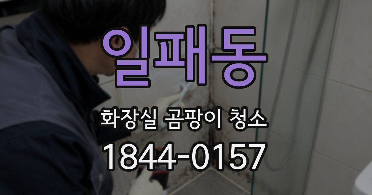 일패동 화장실 곰팡이 청소