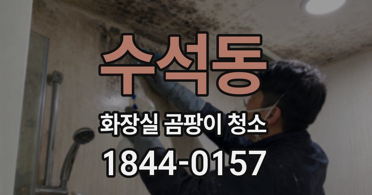 수석동 화장실 곰팡이 청소