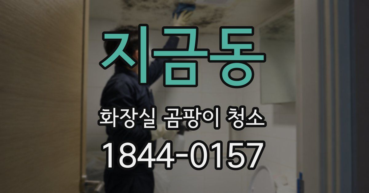 지금동 화장실 곰팡이 청소