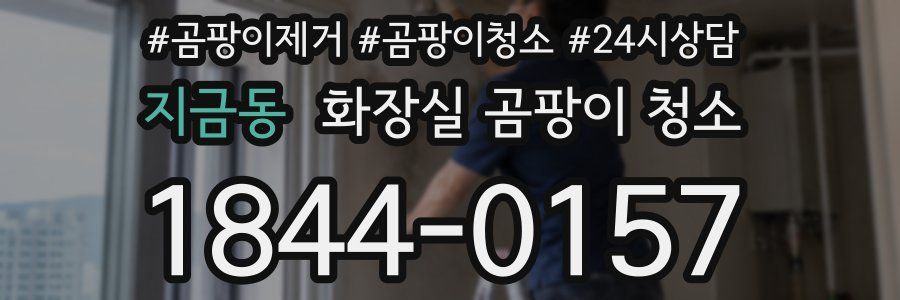 지금동 화장실 곰팡이 청소