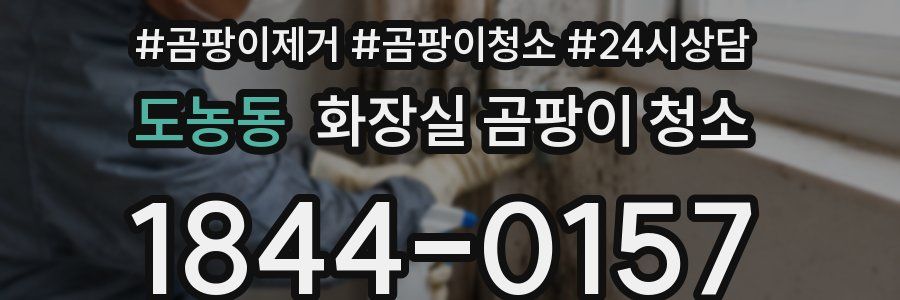 도농동 화장실 곰팡이 청소
