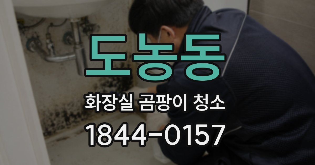 도농동 화장실 곰팡이 청소