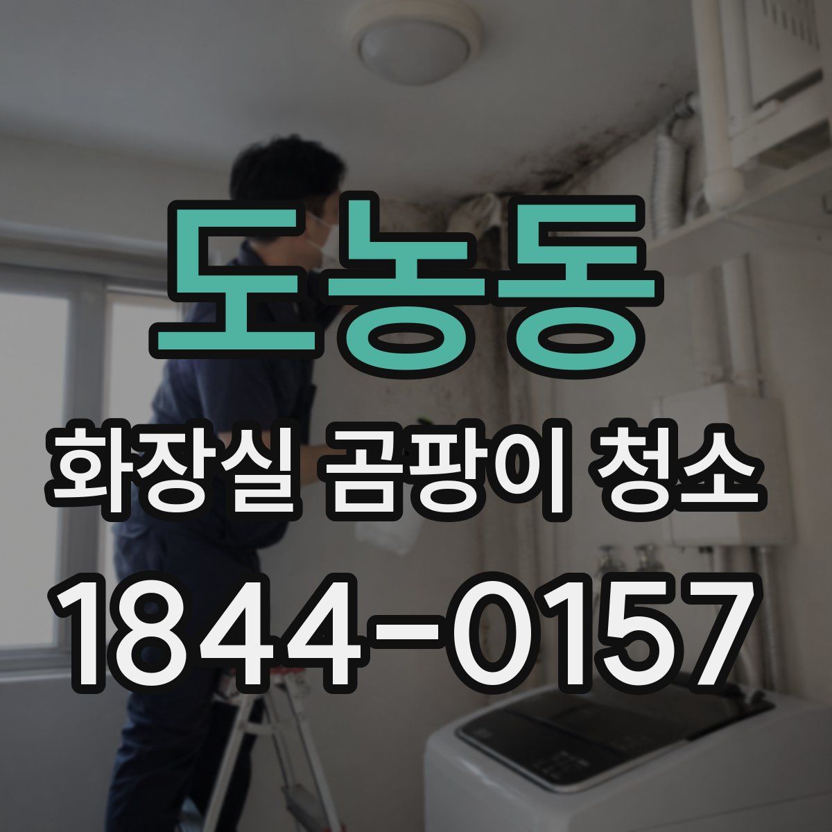 도농동 화장실 곰팡이 청소