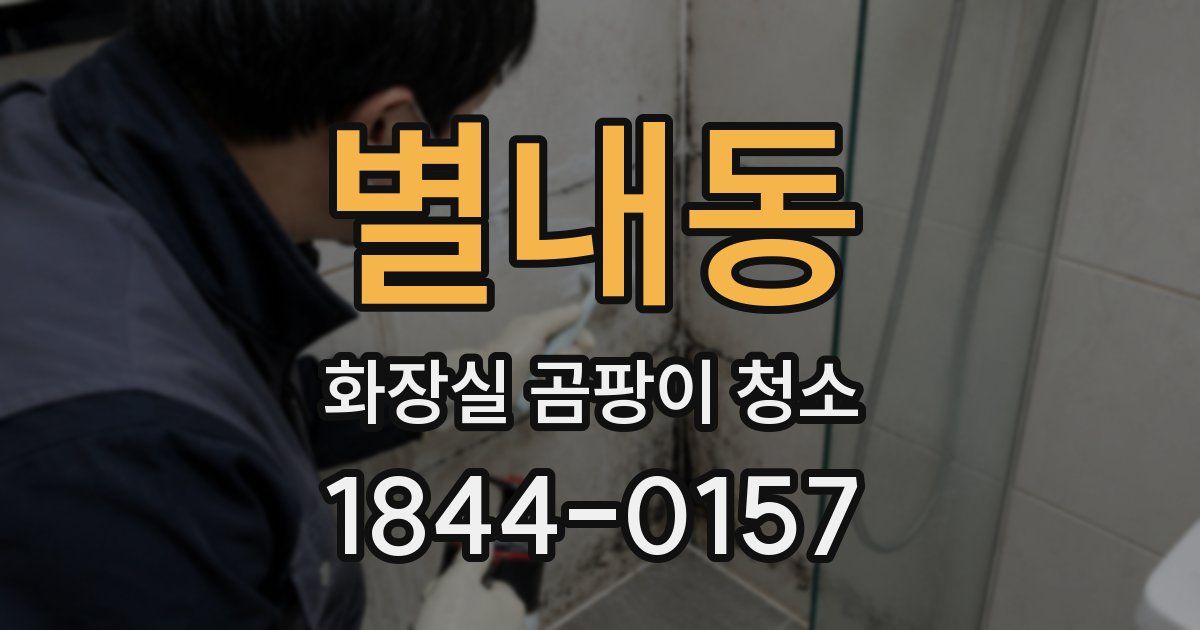별내동 화장실 곰팡이 청소
