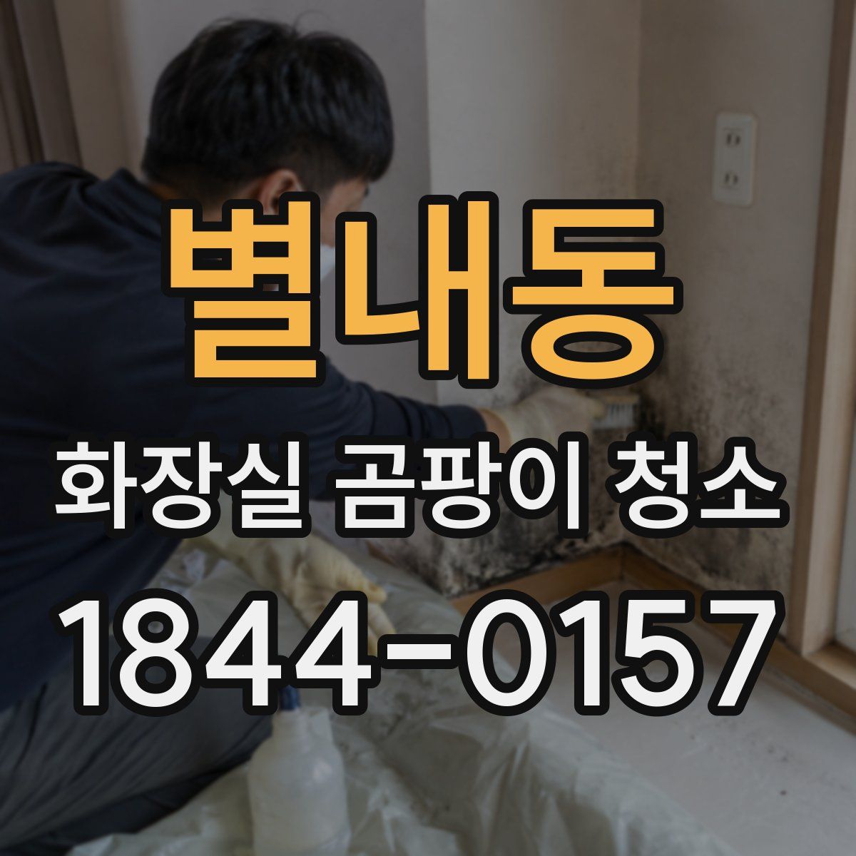 별내동 화장실 곰팡이 청소
