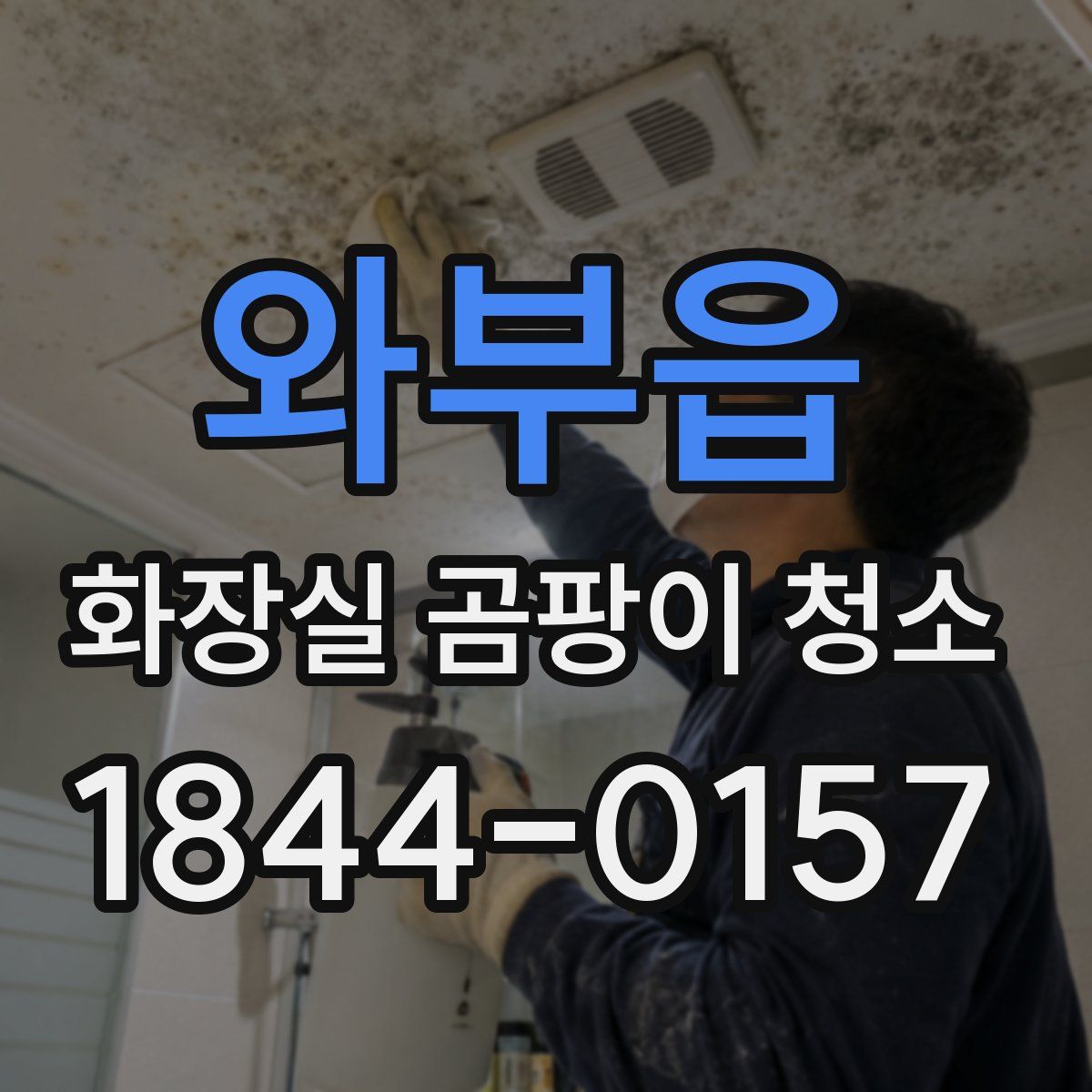 와부읍 화장실 곰팡이 청소