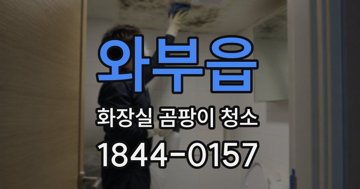 와부읍 화장실 곰팡이 청소
