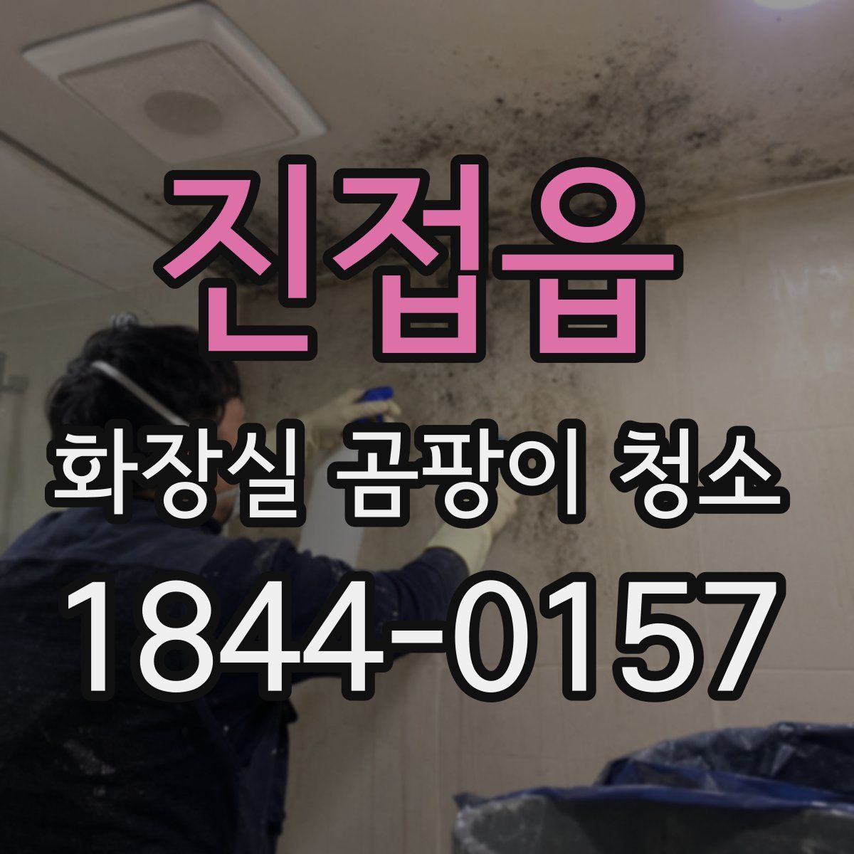 진접읍 화장실 곰팡이 청소