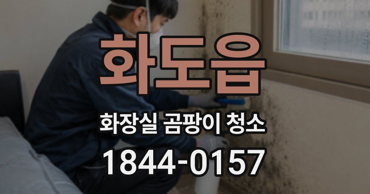 화도읍 화장실 곰팡이 청소