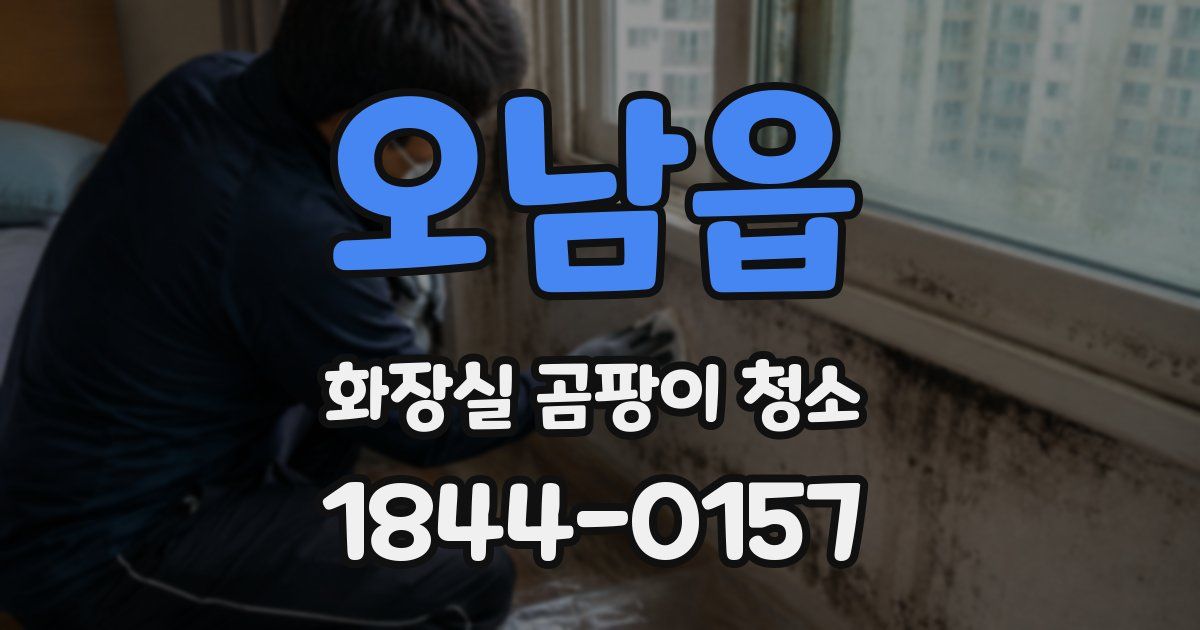 오남읍 화장실 곰팡이 청소