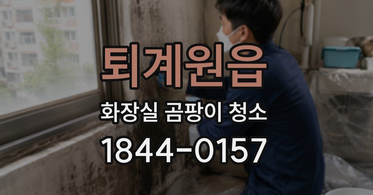 퇴계원읍 화장실 곰팡이 청소