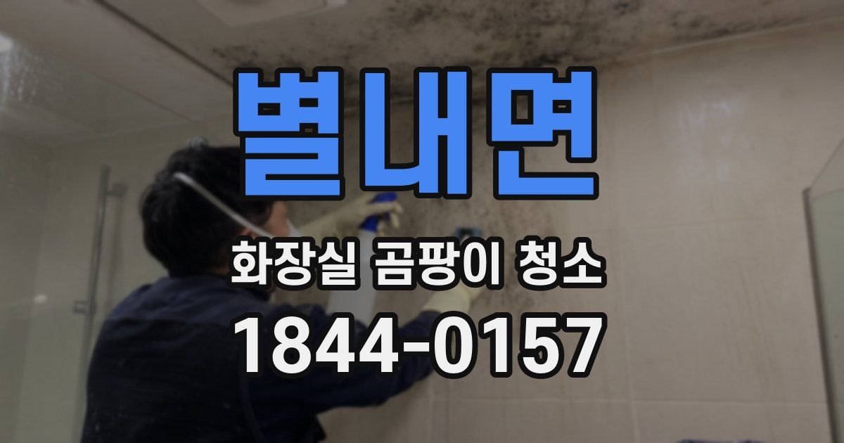 별내면 화장실 곰팡이 청소