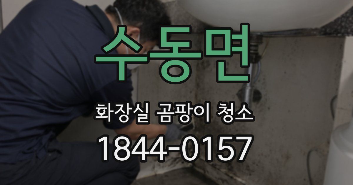 수동면 화장실 곰팡이 청소