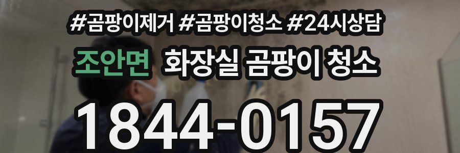 조안면 화장실 곰팡이 청소