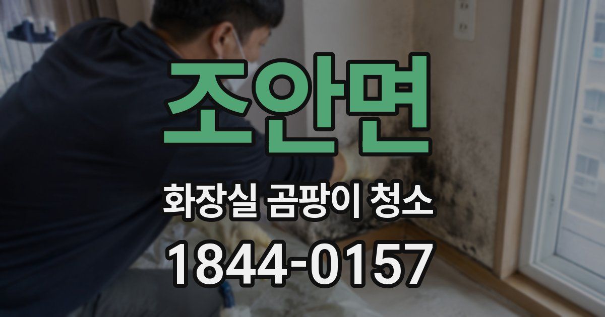 조안면 화장실 곰팡이 청소