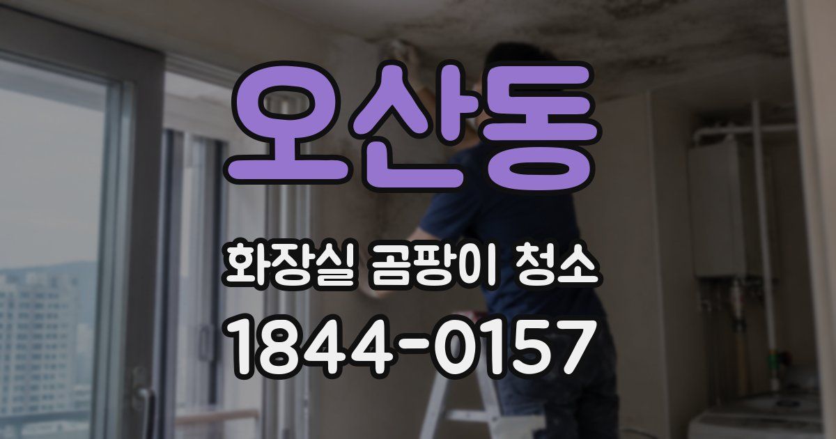 오산동 화장실 곰팡이 청소
