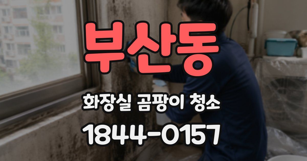 부산동 화장실 곰팡이 청소