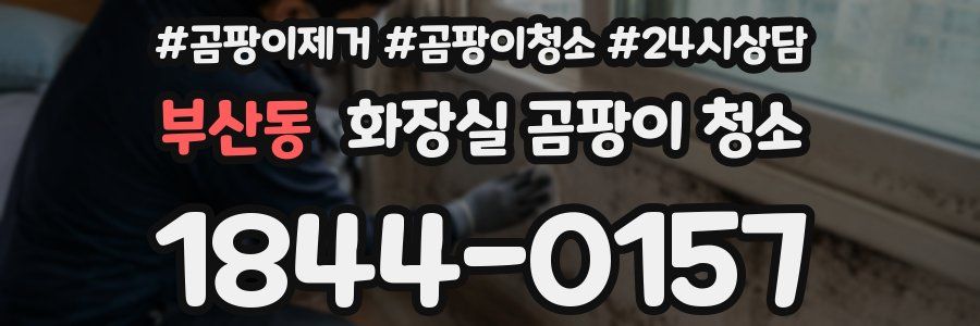부산동 화장실 곰팡이 청소