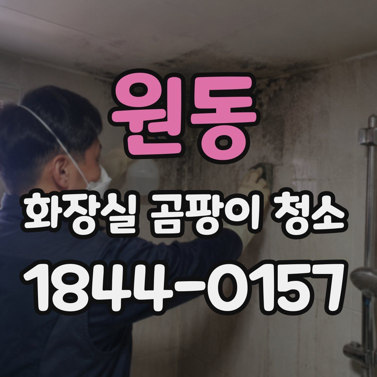 원동 화장실 곰팡이 청소