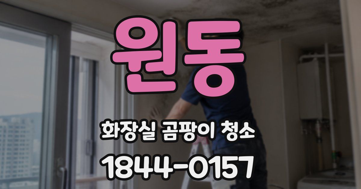 원동 화장실 곰팡이 청소