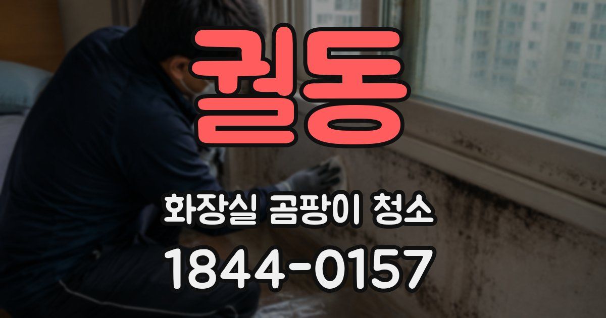궐동 화장실 곰팡이 청소