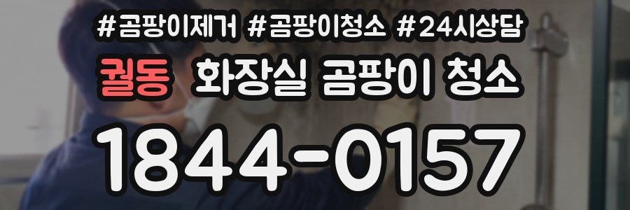 궐동 화장실 곰팡이 청소