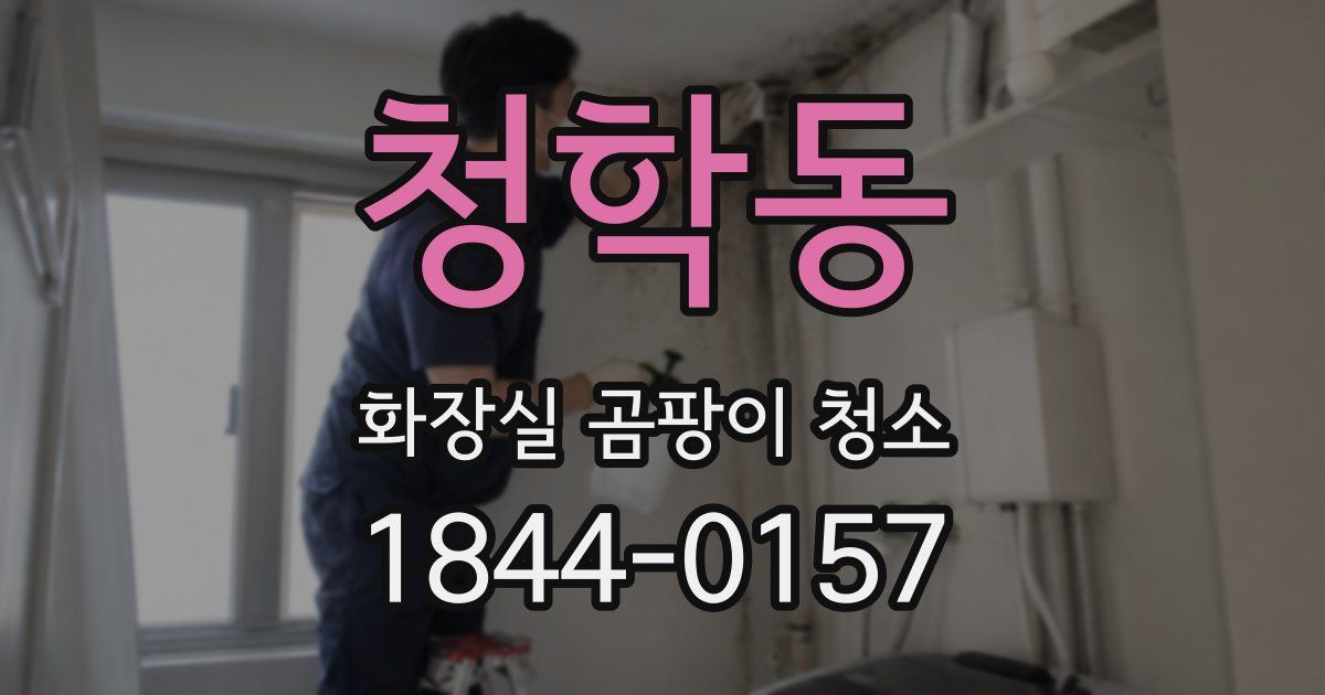 청학동 화장실 곰팡이 청소