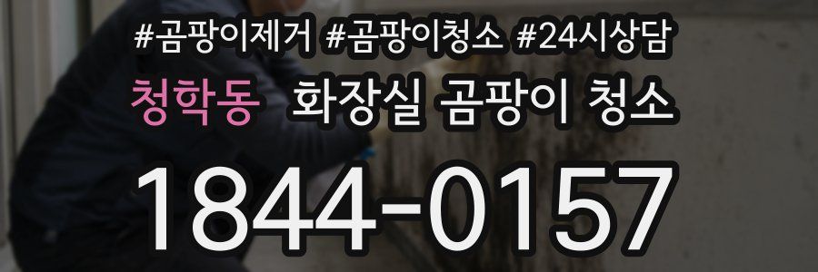 청학동 화장실 곰팡이 청소