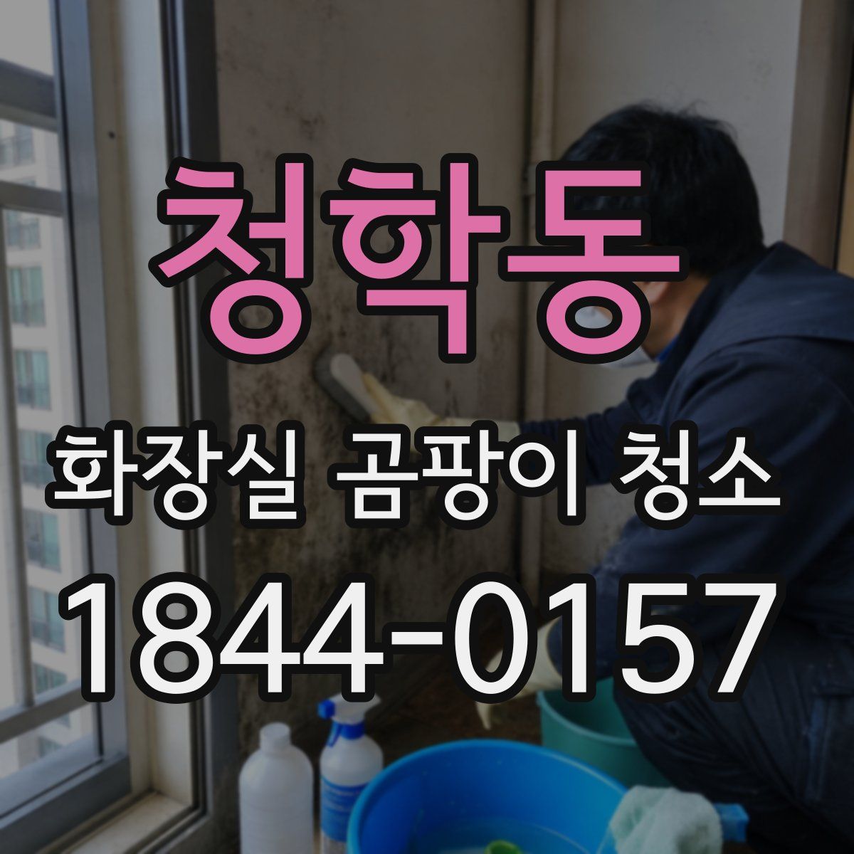 청학동 화장실 곰팡이 청소