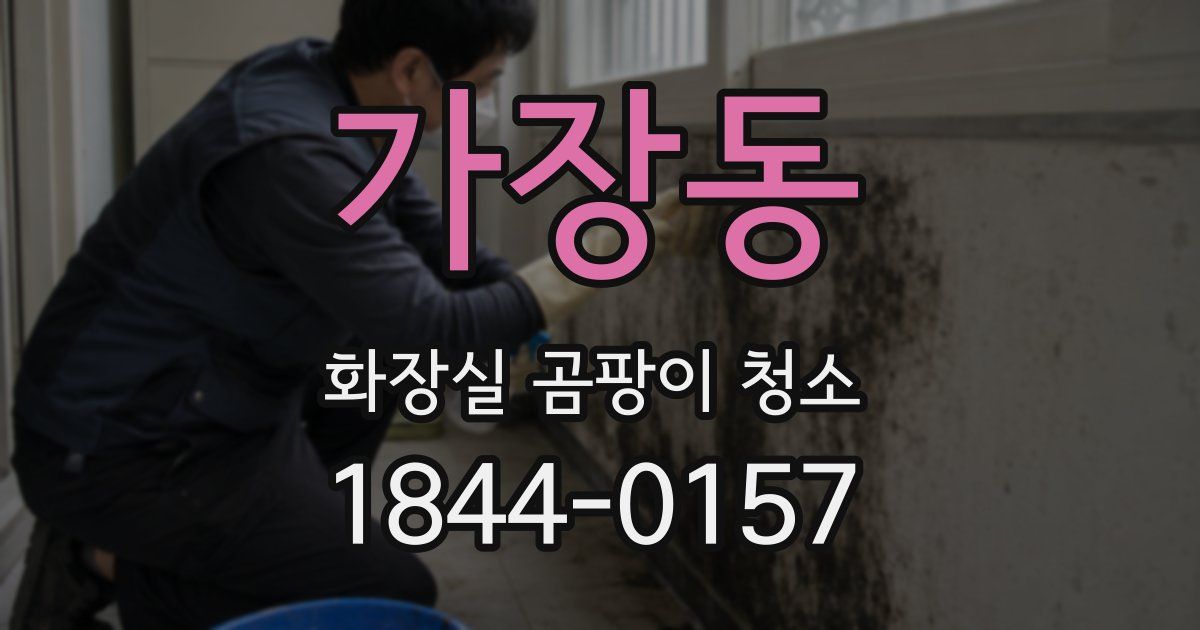 가장동 화장실 곰팡이 청소
