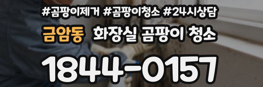 금암동 화장실 곰팡이 청소