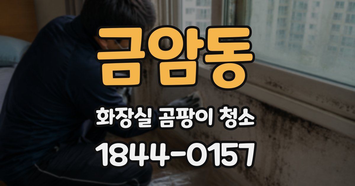 금암동 화장실 곰팡이 청소