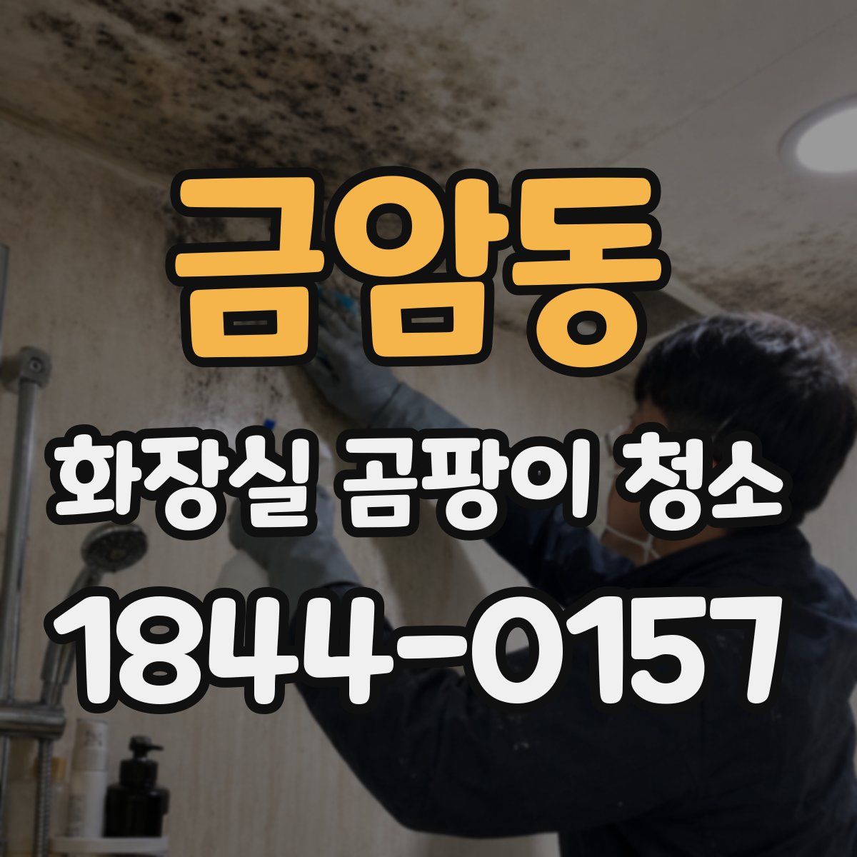 금암동 화장실 곰팡이 청소